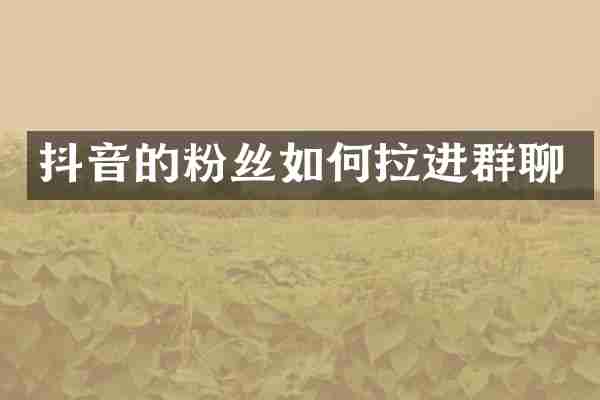 抖音的粉丝如何拉进群聊
