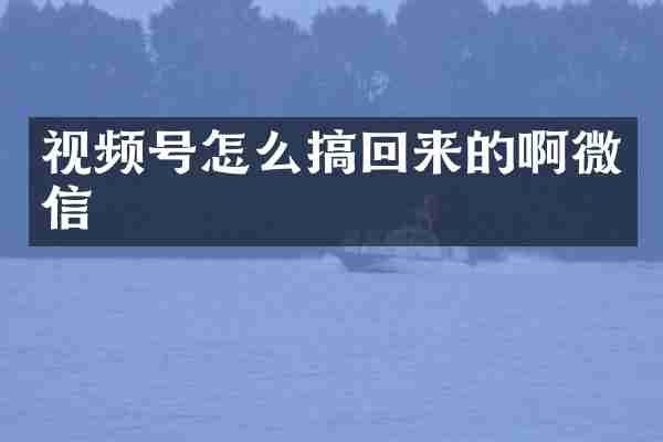 视频号怎么搞回来的啊微信