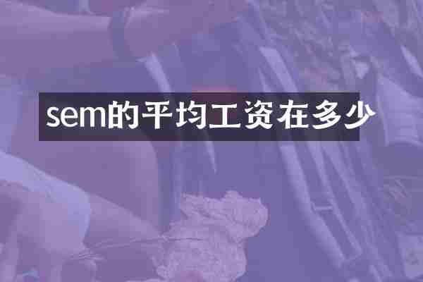 sem的平均工资在多少