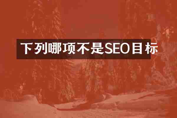 下列哪项不是SEO目标