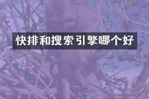 快排和搜索引擎哪个好