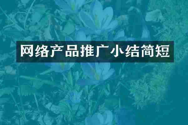 网络产品推广小结简短