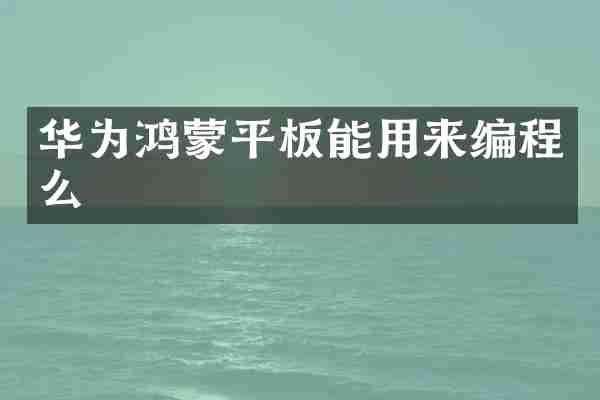 华为鸿蒙平板能用来编程么