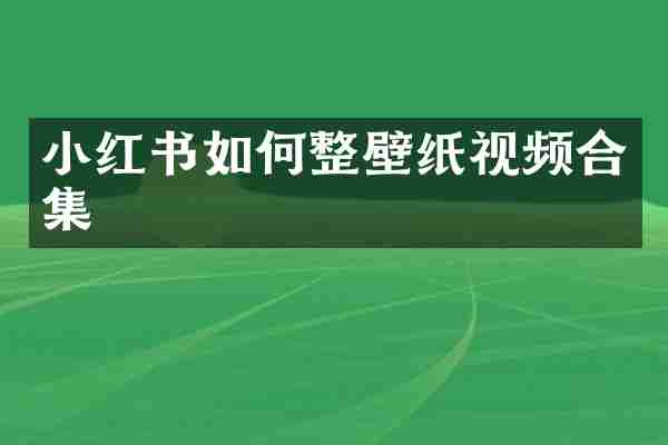 小红书如何整壁纸视频合集