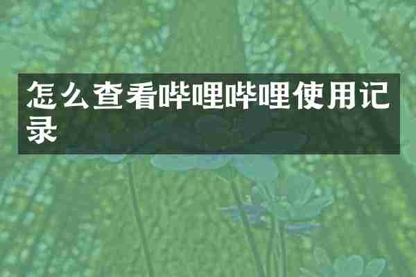 怎么查看哔哩哔哩使用记录