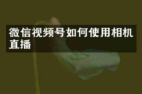 微信视频号如何使用相机直播