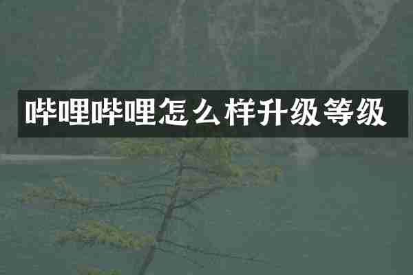 哔哩哔哩怎么样升级等级