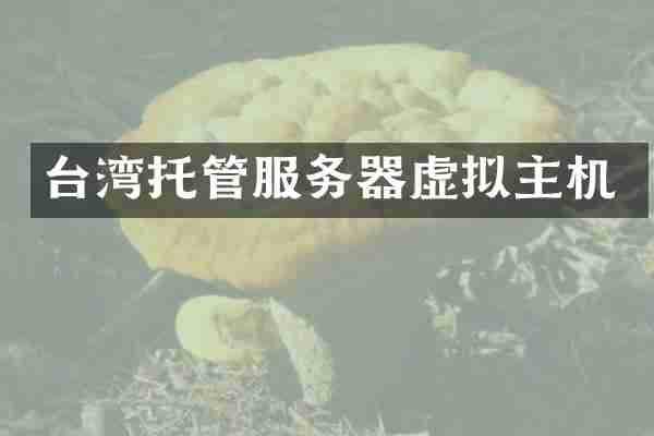 台湾托管服务器虚拟主机