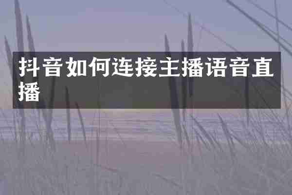 抖音如何连接主播语音直播