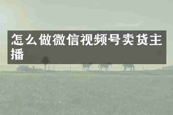 怎么做微信视频号卖货主播