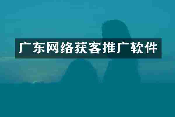 广东网络获客推广软件