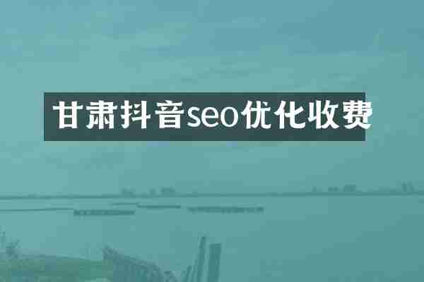 甘肃抖音seo优化收费