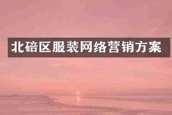 北碚区服装网络营销方案