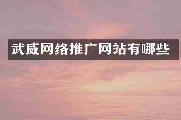 武威网络推广网站有哪些