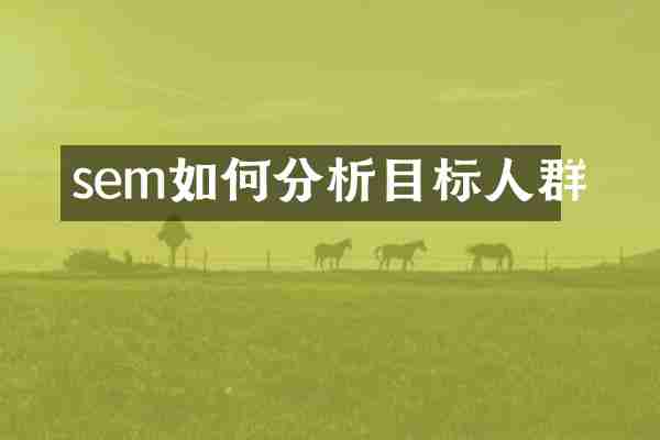 sem如何分析目标人群