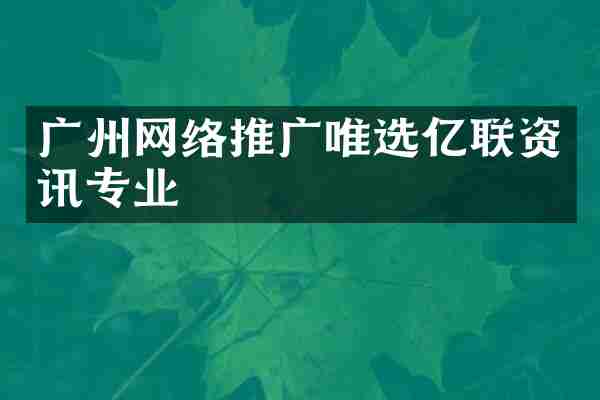 广州网络推广唯选亿联资讯专业