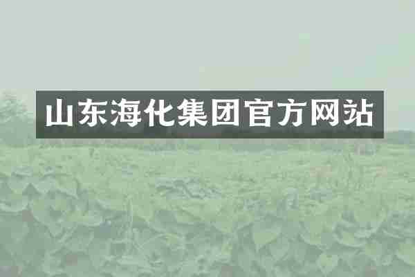 山东海化集团官方网站