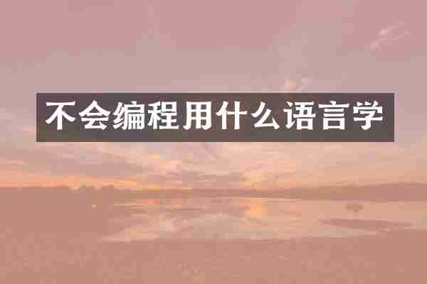 不会编程用什么语言学