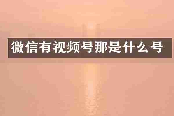 微信有视频号那是什么号