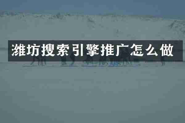 潍坊搜索引擎推广怎么做