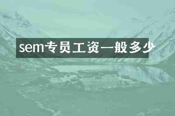 sem专员工资一般多少