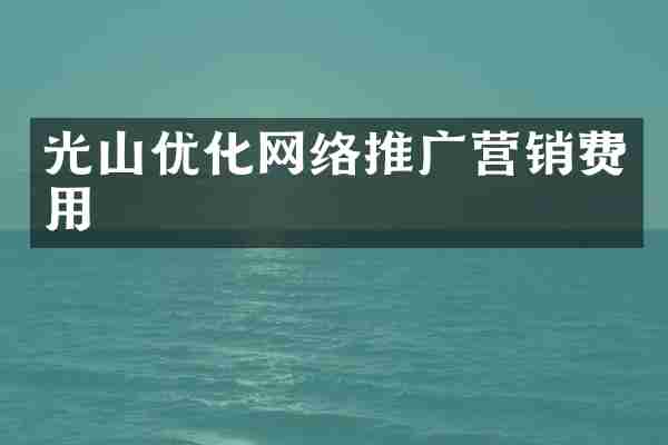 光山优化网络推广营销费用