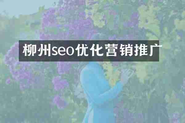 柳州seo优化营销推广