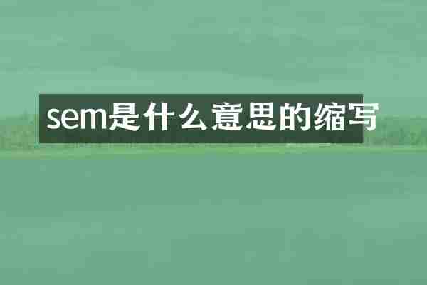 sem是什么意思的缩写