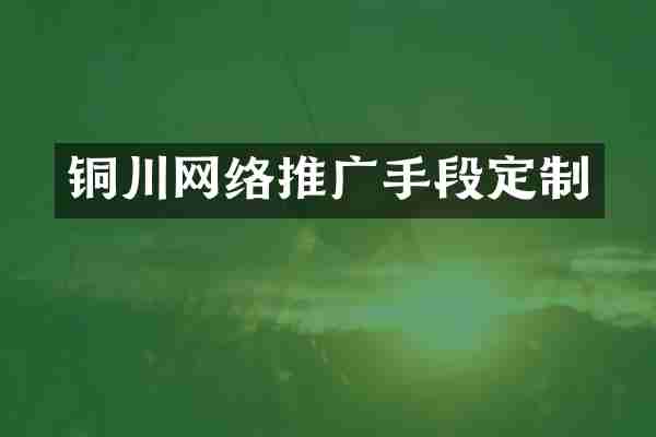 铜川网络推广手段定制
