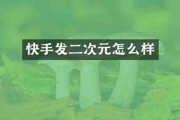 快手发二次元怎么样