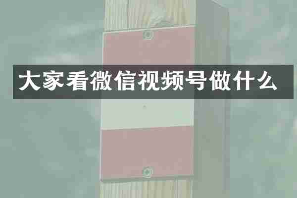大家看微信视频号做什么
