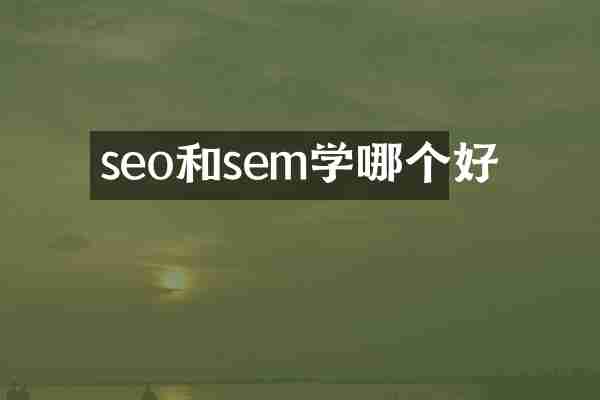 seo和sem学哪个好