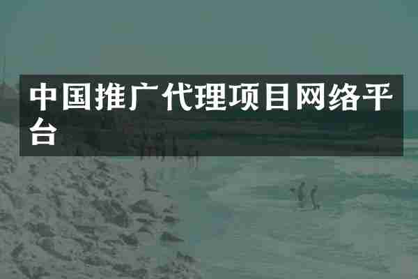 中国推广代理项目网络平台