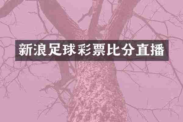新浪足球彩票比分直播