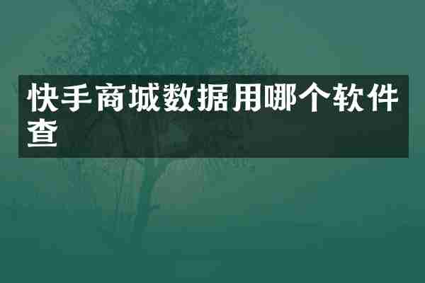 快手商城数据用哪个软件查