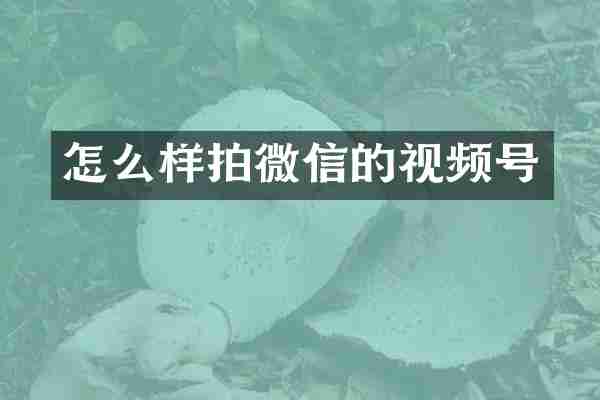 怎么样拍微信的视频号
