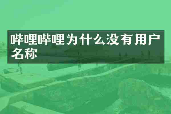 哔哩哔哩为什么没有用户名称