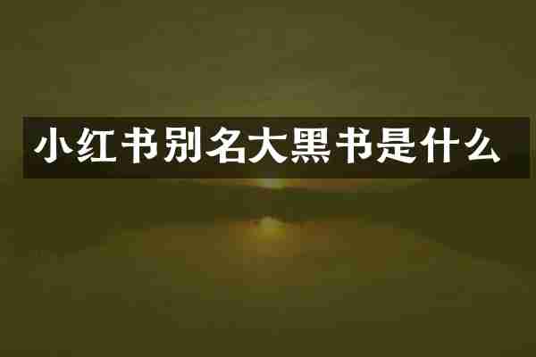 小红书别名大黑书是什么