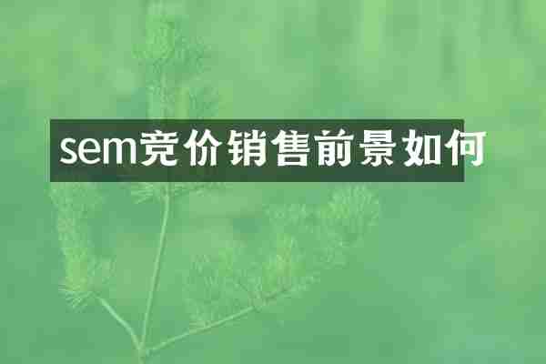 sem竞价销售前景如何