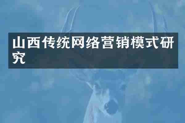 山西传统网络营销模式研究