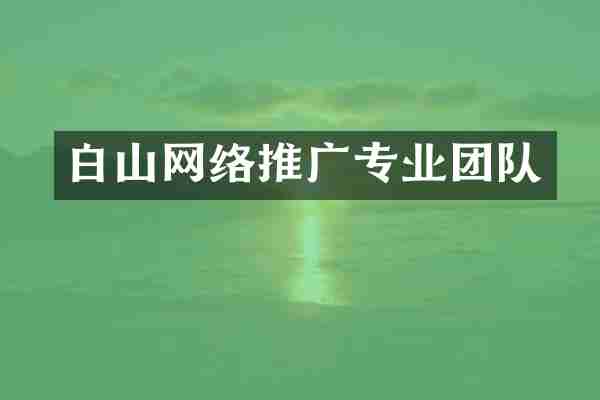 白山网络推广专业团队