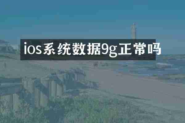 ios系统数据9g正常吗