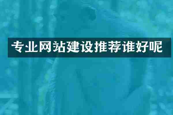 专业网站建设推荐谁好呢