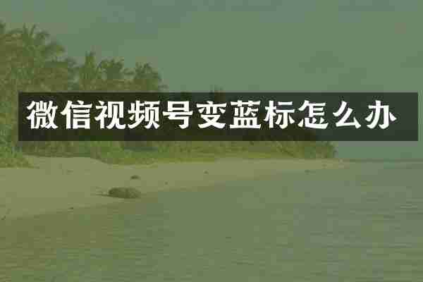 微信视频号变蓝标怎么办