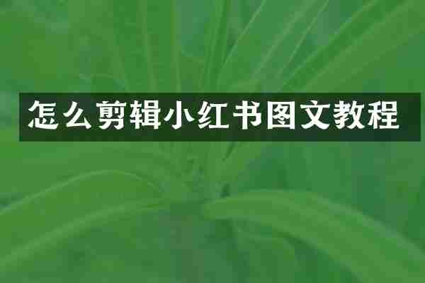 怎么剪辑小红书图文教程