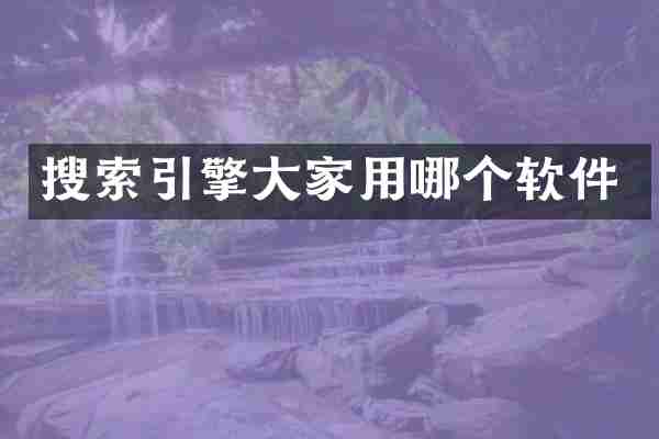 搜索引擎大家用哪个软件