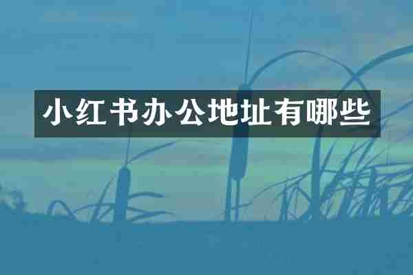 小红书办公地址有哪些