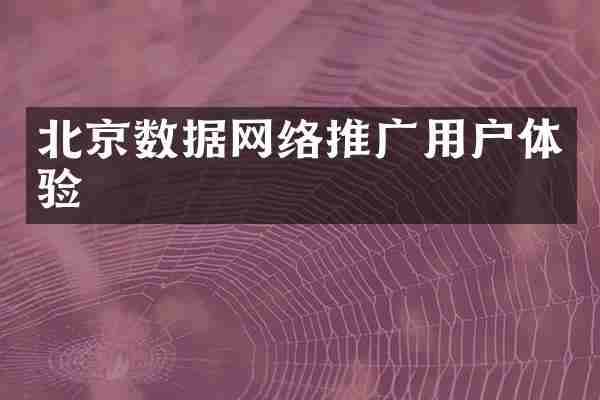 北京数据网络推广用户体验