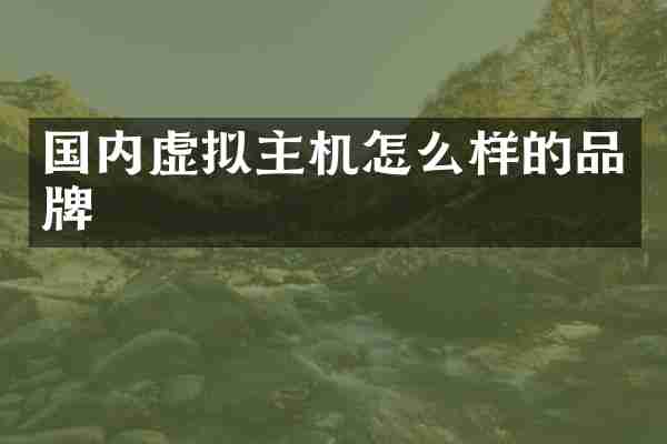 国内虚拟主机怎么样的品牌