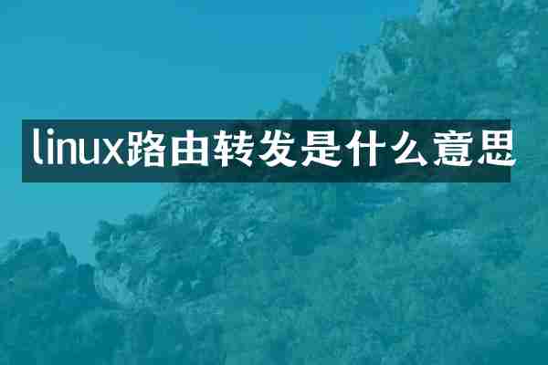 linux路由转发是什么意思